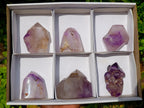 Polished Window Amethyst Crystals x 6 From Akansobe, Madagascar