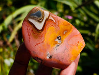 Polished Groovy Polychrome Jasper Standing Free Forms x 6 From NW Coast, Madagascar