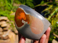 Polished Groovy Polychrome Jasper Standing Free Forms x 6 From NW Coast, Madagascar