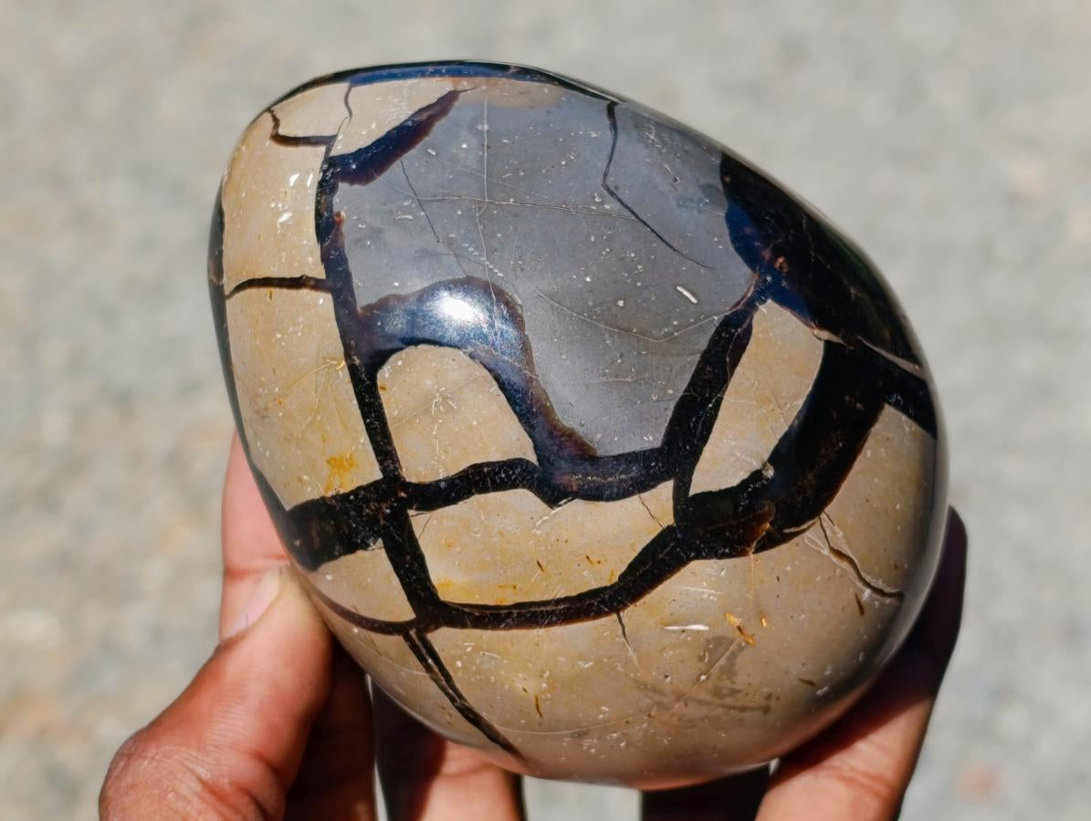 Polished Septerye Sauvage "Dragons Egg" Geodes x 3 From Mahajanga, Madagascar