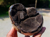 Polished Septerye Sauvage "Dragons Egg" Geodes x 3 From Mahajanga, Madagascar