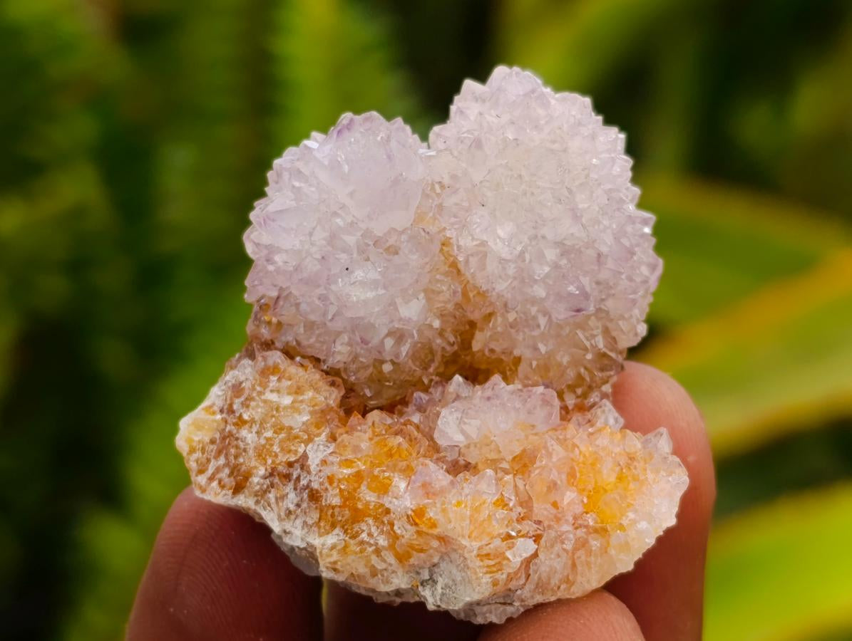 Natural Drusy Lilac Amethyst Spirit Crystals x 35 From Boekenhouthoek, South Africa