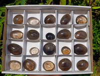 Polished Smokey Window Quartz Galets x 20 From Madagascar