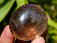 Polished Smokey Window Quartz Galets x 20 From Madagascar