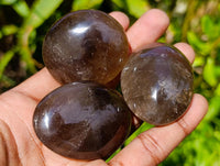 Polished Smokey Window Quartz Galets x 20 From Madagascar