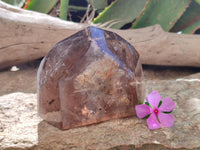 Polished Dark Morion Tourmalinated Smokey Quartz Crystal x 1 From Madagascar