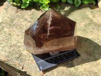 Polished Dark Morion Tourmalinated Smokey Quartz Crystal x 1 From Madagascar