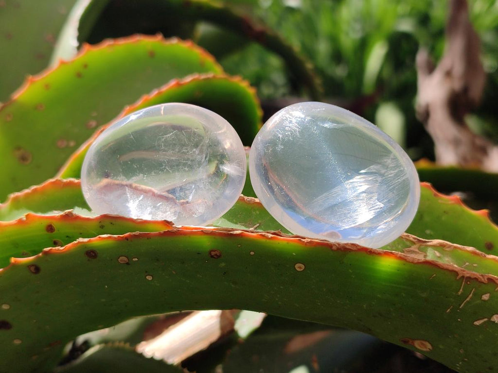 Polished Girasol Pearl Quartz Palm Stones x 20 From Ambatondrazaka, Madagascar