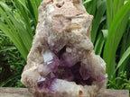 Natural Large Jacaranda Amethyst Crystal Cluster x 1 From Mumbwa, Zambia