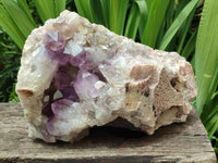 Natural Large Jacaranda Amethyst Crystal Cluster x 1 From Mumbwa, Zambia