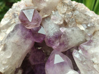 Natural Large Jacaranda Amethyst Crystal Cluster x 1 From Mumbwa, Zambia