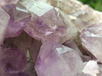 Natural Large Jacaranda Amethyst Crystal Cluster x 1 From Mumbwa, Zambia