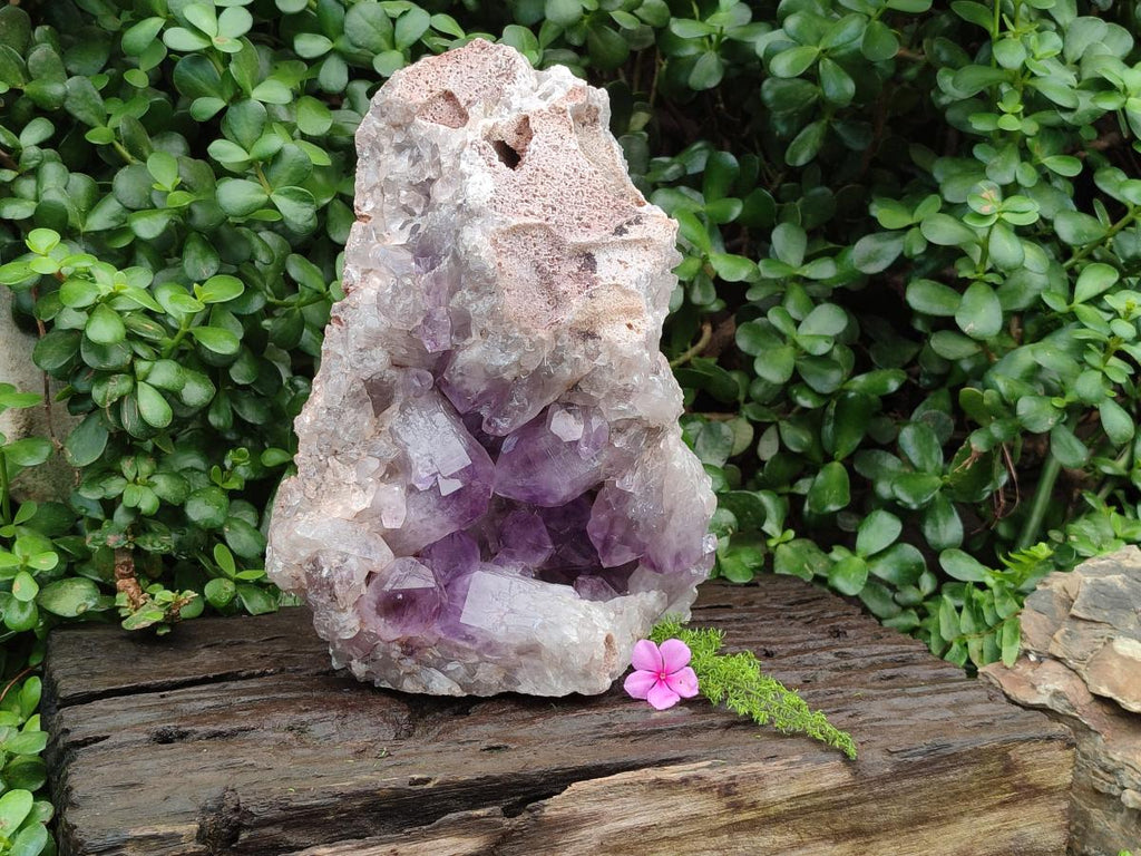 Natural Large Jacaranda Amethyst Crystal Cluster x 1 From Mumbwa, Zambia