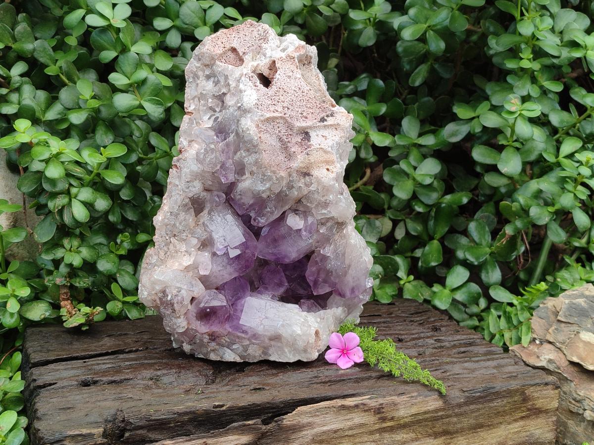 Natural Large Jacaranda Amethyst Crystal Cluster x 1 From Mumbwa, Zambia