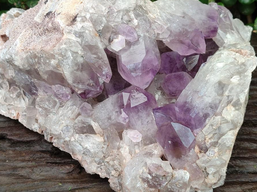 Natural Large Jacaranda Amethyst Crystal Cluster x 1 From Mumbwa, Zambia
