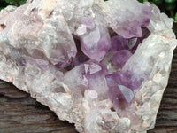 Natural Large Jacaranda Amethyst Crystal Cluster x 1 From Mumbwa, Zambia
