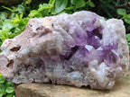 Natural Large Jacaranda Amethyst Crystal Cluster x 1 From Mumbwa, Zambia