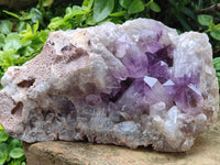 Natural Large Jacaranda Amethyst Crystal Cluster x 1 From Mumbwa, Zambia