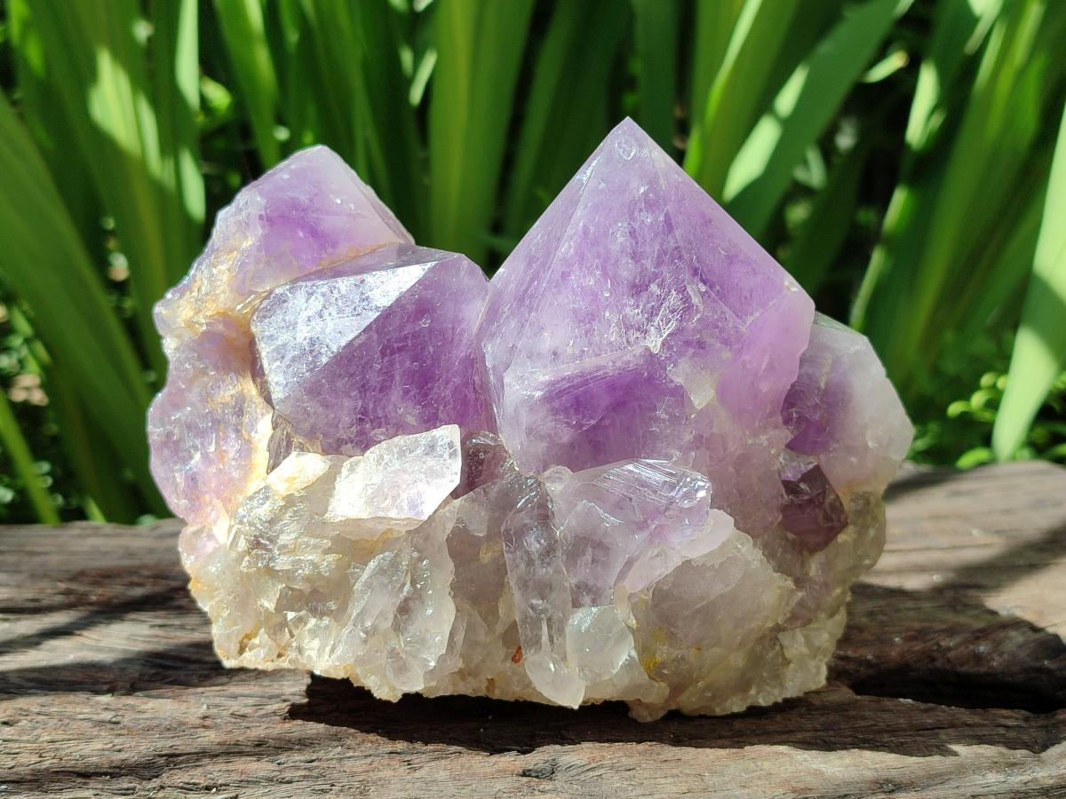 Natural Jacaranda Amethyst Crystal Clusters x 2 From Mumbwa, Zambia