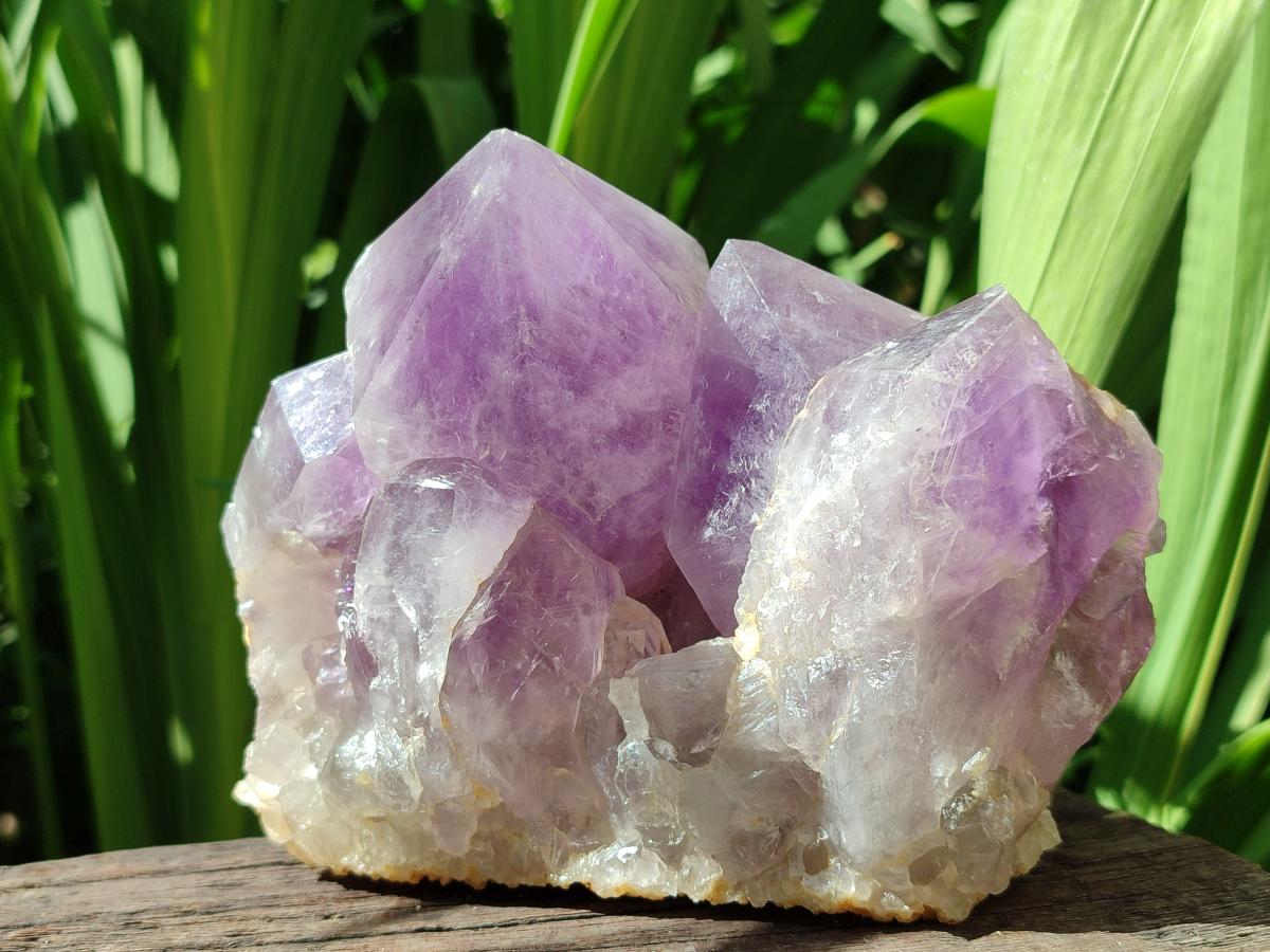 Natural Jacaranda Amethyst Crystal Clusters x 2 From Mumbwa, Zambia