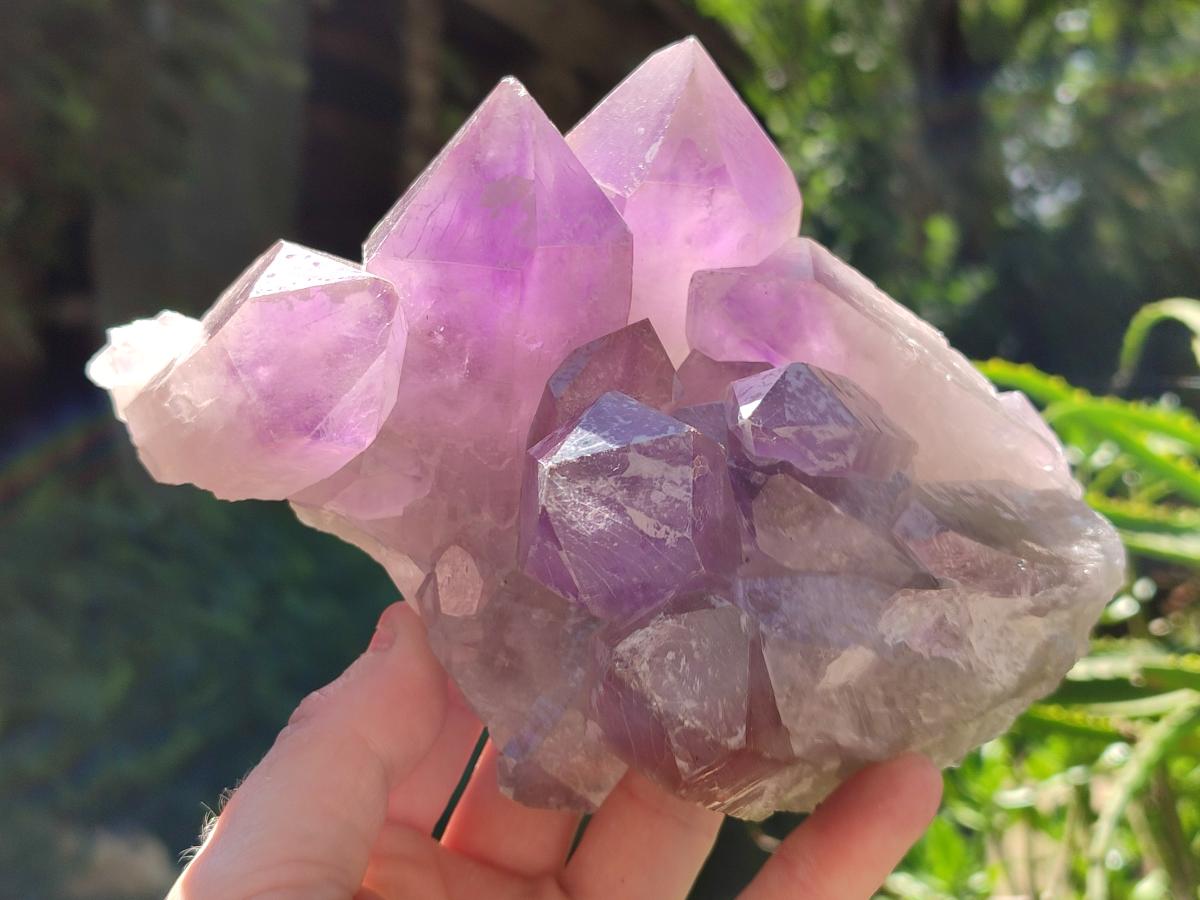 Natural Jacaranda Amethyst Crystal Clusters x 2 From Mumbwa, Zambia