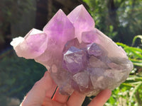 Natural Jacaranda Amethyst Crystal Clusters x 2 From Mumbwa, Zambia