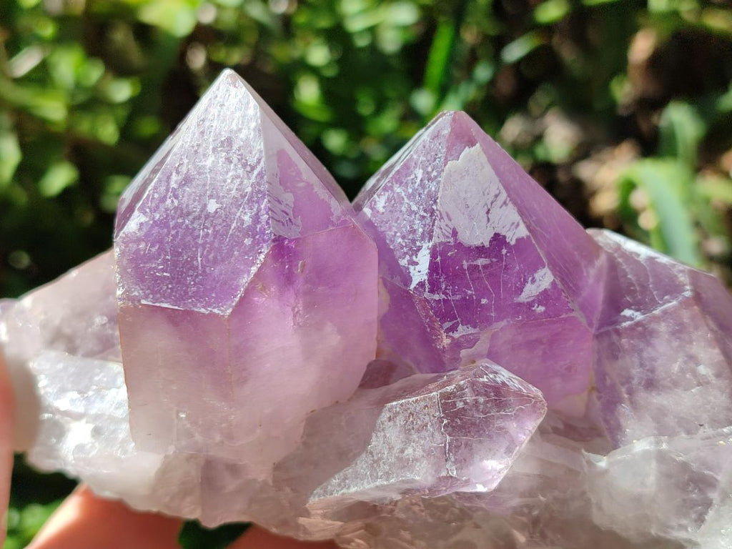 Natural Jacaranda Amethyst Crystal Clusters x 2 From Mumbwa, Zambia