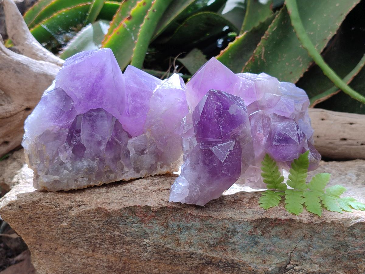Natural Jacaranda Amethyst Crystal Clusters x 2 From Mumbwa, Zambia