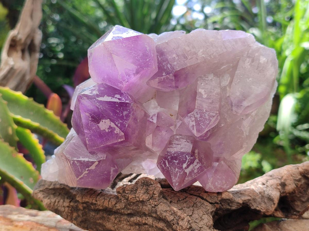Natural Jacaranda Amethyst Crystal Clusters x 2 From Mumbwa, Zambia