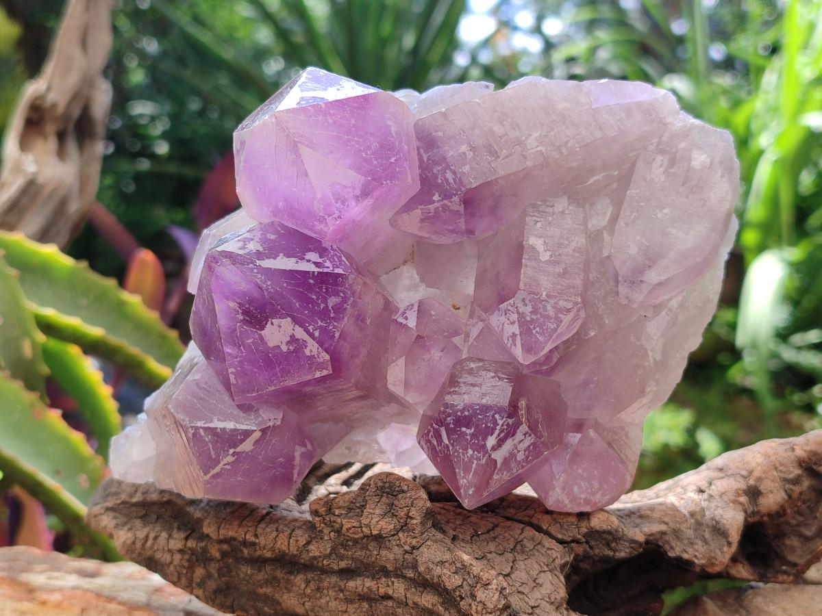Natural Jacaranda Amethyst Crystal Clusters x 2 From Mumbwa, Zambia