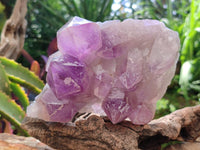 Natural Jacaranda Amethyst Crystal Clusters x 2 From Mumbwa, Zambia