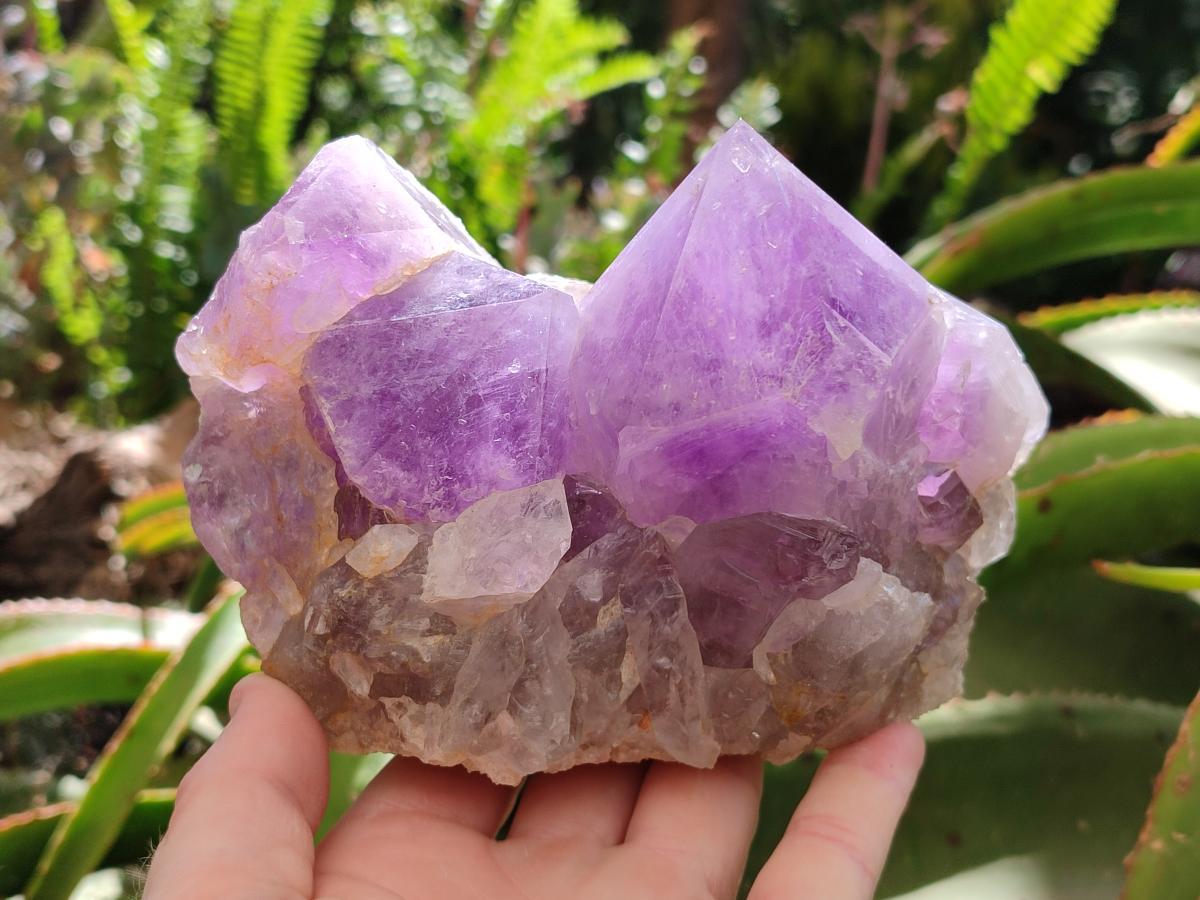 Natural Jacaranda Amethyst Crystal Clusters x 2 From Mumbwa, Zambia