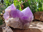Natural Jacaranda Amethyst Crystal Clusters x 2 From Mumbwa, Zambia