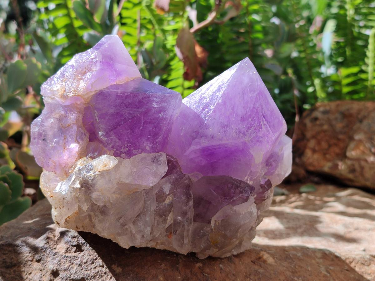 Natural Jacaranda Amethyst Crystal Clusters x 2 From Mumbwa, Zambia