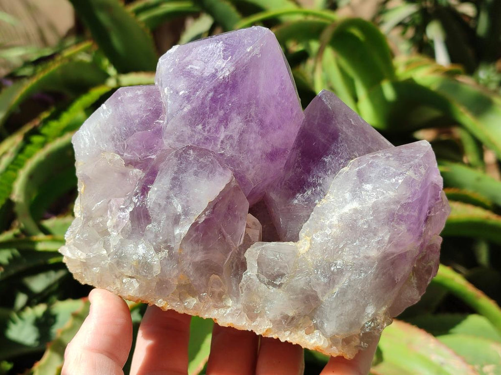 Natural Jacaranda Amethyst Crystal Clusters x 2 From Mumbwa, Zambia