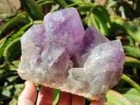 Natural Jacaranda Amethyst Crystal Clusters x 2 From Mumbwa, Zambia