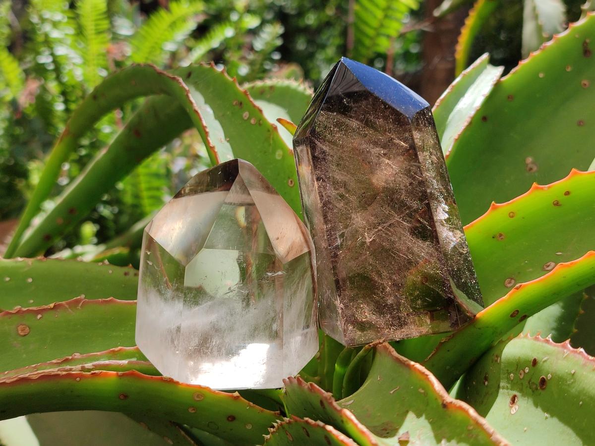 Polished Smokey Window Quartz Crystals x 4 From Madagascar