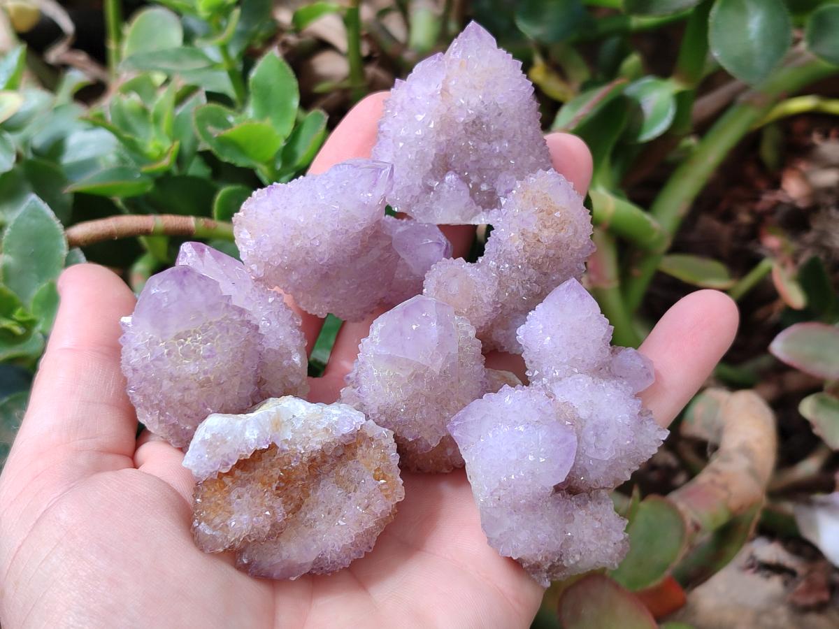 Natural Sunburst Lilac Amethyst Spirit Crystals and Clusters x 35 From Boekenhouthoek, South Africa
