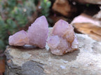 Natural Sunburst Lilac Amethyst Spirit Crystals and Clusters x 35 From Boekenhouthoek, South Africa