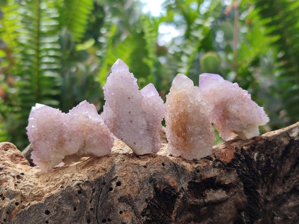 Natural Sunburst Lilac Amethyst Spirit Crystals and Clusters x 35 From Boekenhouthoek, South Africa