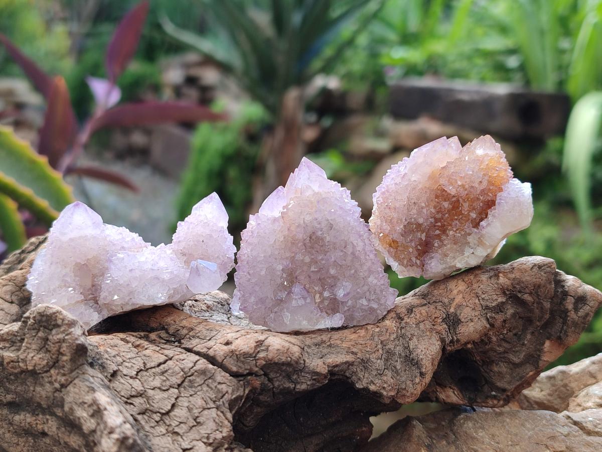 Natural Sunburst Lilac Amethyst Spirit Crystals and Clusters x 35 From Boekenhouthoek, South Africa