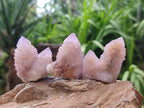 Natural Sunburst Lilac Amethyst Spirit Crystals and Clusters x 35 From Boekenhouthoek, South Africa