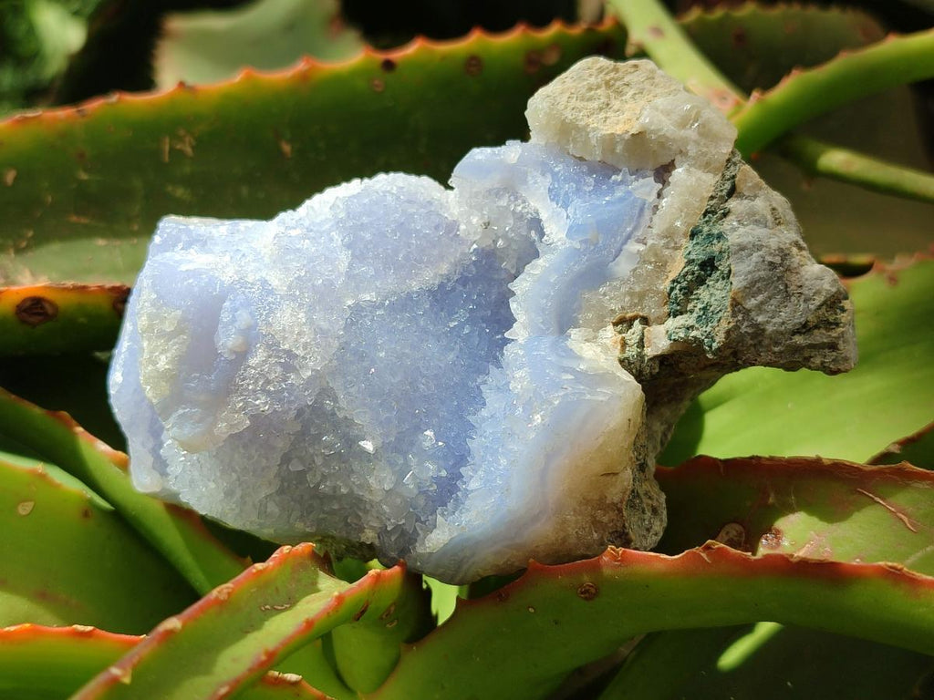 Natural Blue Lace Agate Geode Specimens x 6 From Nsanje, Malawi