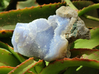 Natural Blue Lace Agate Geode Specimens x 6 From Nsanje, Malawi