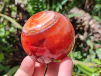 Polished Carnelian Agate Gemstone Spheres x 4 From Madagascar