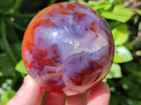 Polished Carnelian Agate Gemstone Spheres x 4 From Madagascar