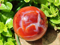 Polished Carnelian Agate Gemstone Spheres x 4 From Madagascar
