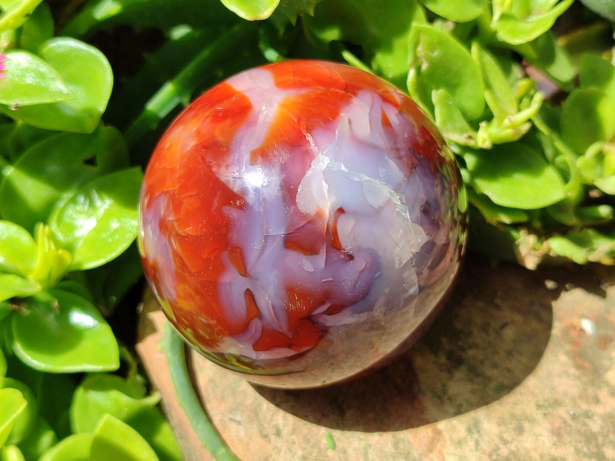Polished Carnelian Agate Gemstone Spheres x 4 From Madagascar