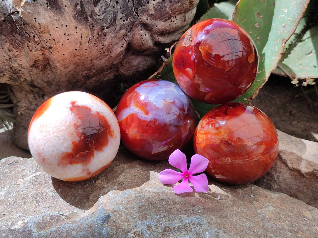Polished Carnelian Agate Gemstone Spheres x 4 From Madagascar