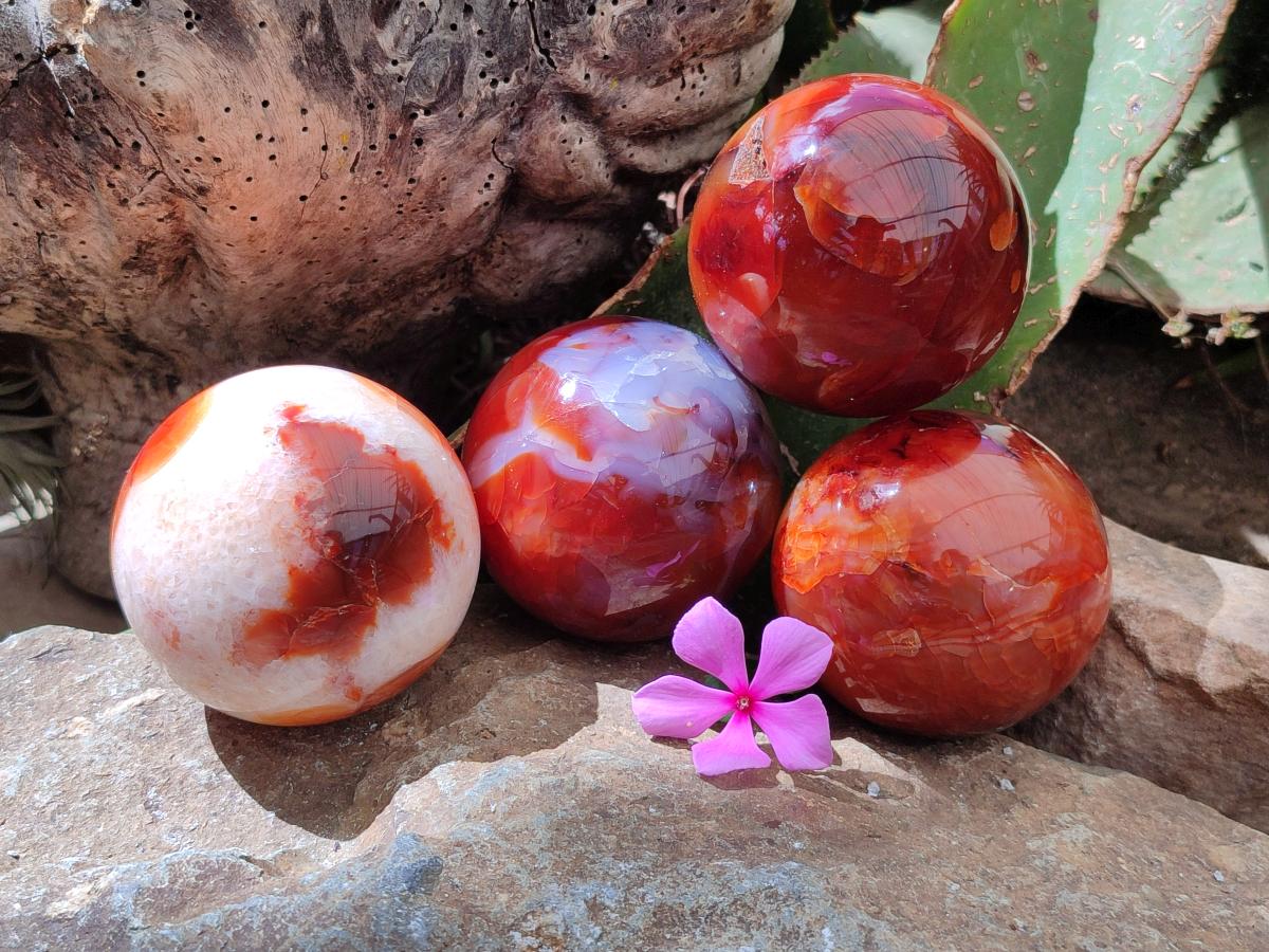 Polished Carnelian Agate Gemstone Spheres x 4 From Madagascar